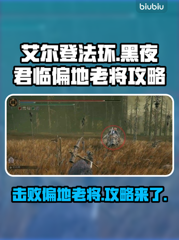 艾尔登法环黑夜君临偏地老将打法攻略✨🔥截图1