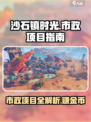 《沙石镇时光》市政项目🔥超全攻略来了！