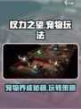权力之望宠物怎么玩介绍