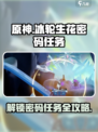 归龙潮冰轮生花密码任务怎么做介绍