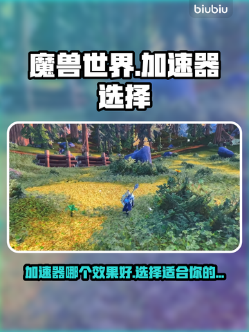 魔兽世界🚀加速器推荐，流畅游戏必备！截图1