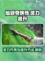 仙剑世界灵力有什么用介绍