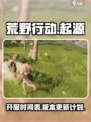 荒野起源什么时候上线的介绍