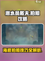 潜水员戴夫拍照怎么拍介绍
