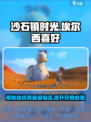 沙石镇时光埃尔西喜欢啥？🎁快速了解埃尔西喜好！
