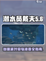 潜水员戴夫咖喱派对准备什么介绍