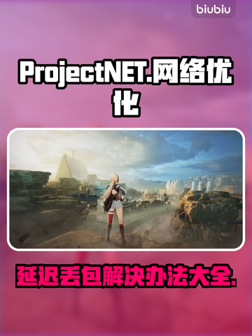 ProjectNET延迟丢包？❌教你几招解决延迟问题⚡截图1