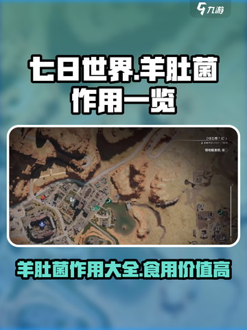 七日世界羊肚菌有什么用介绍截图1