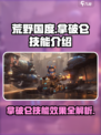 荒野国度拿破仑技能有哪些介绍