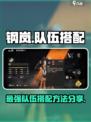 钢岚队伍怎么搭配介绍