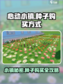 心动小镇种子在哪里买介绍