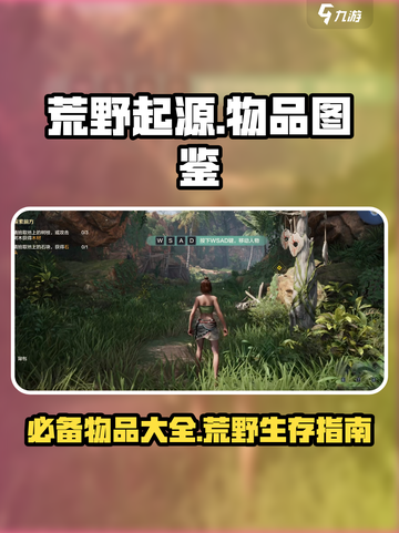 荒野起源🔥必备物品大揭秘！玩家必看⚡截图1