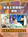 航海王梦想指针是什么类型的游戏介绍