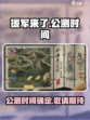 援军来了公测时间介绍