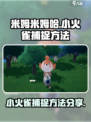 《原神》🔥米姆米姆哈小火雀捕捉秘籍✨