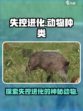 失控进化动物有哪些介绍