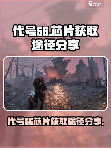 代号56芯片怎么获得介绍截图1