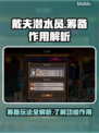 《潜水员戴夫》筹备全解析🔥，新手必看！