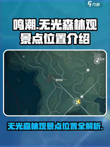 鸣潮🎮：无光森林观景点位置大曝光！🔥截图1