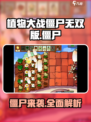 植物大战僵尸无双版僵尸都有哪些介绍