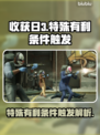 收获日3⚡特殊有利条件触发全解析！💥