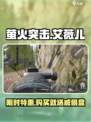 萤火突击🔥艾薇儿威慑盒购买攻略与用途解析！🎮