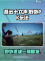 燕云十六声野外pk有吗介绍