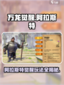 万龙觉醒阿拉斯特怎么打介绍