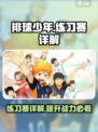 排球少年手游练习赛介绍介绍