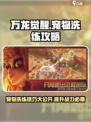 万龙觉醒宠物洗练攻略介绍