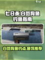 七日世界白斑狗鱼鱼饵用什么介绍