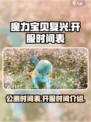 魔力宝贝复兴公测时间表介绍