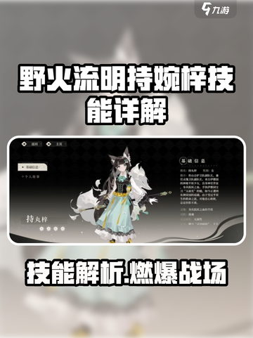 野火流明持婉梓怎么样介绍截图1