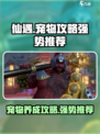 仙遇手游宠物攻略介绍