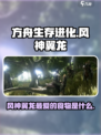 方舟生存进化：风神翼龙最爱吃这个❗