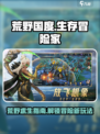 荒野国度游戏怎么玩介绍