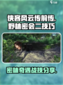 侠客风云传前传野林密会二怎么过介绍
