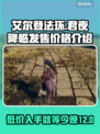 艾尔登法环君夜降临🔥发售价格大曝光！💰🎮