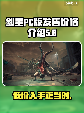 剑星PC版多少钱？💥低价惊喜等你来！🎮截图1
