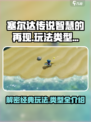 塞尔达传说智慧的再现是正作吗介绍