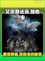 艾尔登法环黑夜君临！慧心虫🔥的秘密💡等你发现！