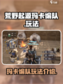 荒野起源🔥玛卡编队玩法超详细攻略来了！