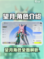 望月角色有哪些介绍