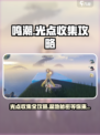 鸣潮🔥光点收集秘籍🎉湿地羽鹭全攻略！