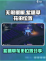 无限暖暖紫穗草花田在哪介绍