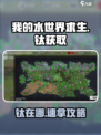 《我的水世界求生》钛获取全攻略💎