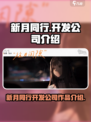 新月同行开发公司介绍介绍