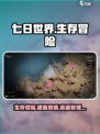 七日世界玩法是什么介绍