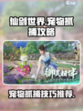 仙剑世界怎么抓宠物介绍