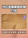 沙丘觉醒：揭秘游戏威胁机制🔥🎮